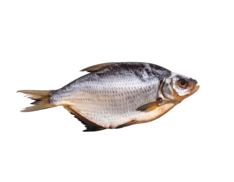 vacuum packed sun dried bream Isolated on Transparent or White Background