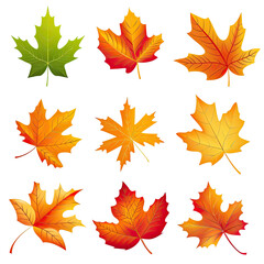 Obraz premium and keyword list based on the image.. Falling Leaf Display Vibrant, Colorful Autumn Foliage against Black Background