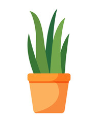 Houseplant with pointed green leaves in small orange ceramic pot. Flat indoor plant isolated on white background. For decorating home interior, garden, balconie, living room, terrace, patio, or office