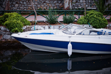 Blue and White Speedboat Moored in Tranquil Waters Near Greenery