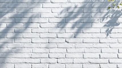 Minimalist white brick wall with shadows of leaves creating a natural background.