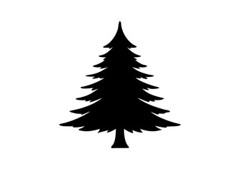 Obraz premium Pine Tree Silhouette
