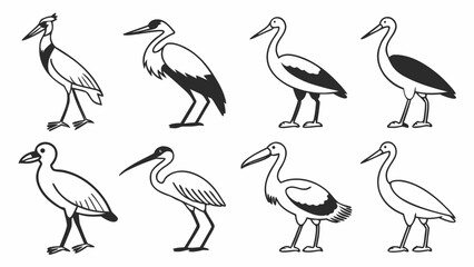 Obraz premium Stork and Heron Vector Illustrations – Elegant Water Birds Standing and Posing, Wildlife Avian Sketches for Nature, Birdwatching, Zoo, and Animal Art Designs.