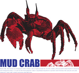 Orange Crab Logo Design Seafood Restaurant Brand Identity Template Marine Shellfish Crustacean Vector Illustration Typography Blue Text Business Branding Menu Design Nautical Vintage Grunge Style