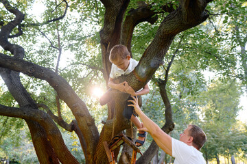 Father and Sons Climbing a Tree Together in a Sunny Park