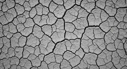 Cracked earth pattern gray deeply fractured soil