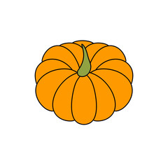 A pumpkin is shown in a drawing
