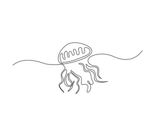 Obraz premium Jellyfish outline drawing illustration. one continuous line drawing of jellyfish in the sea.