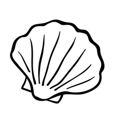 Hand drawn seashell.