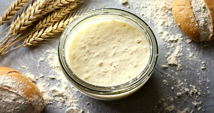 Freshly prepared sourdough starter in a jar surrounded by wheat stalks and bread rolls on a rustic surface
