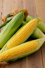 とうもろこし　Sweet Corn
