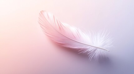 Naklejka premium Delicate Feather on Soft Gradient Background for Elegant Design