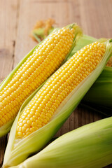 とうもろこし　Sweet Corn