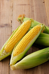 とうもろこし　Sweet Corn