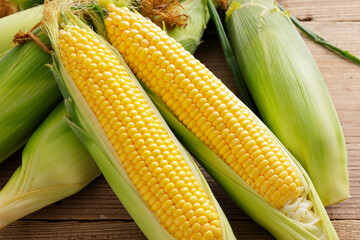 とうもろこし　Sweet Corn