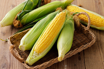 とうもろこし　Sweet Corn
