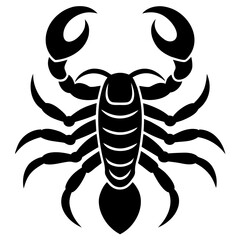 Obraz premium black scorpion isolated on white