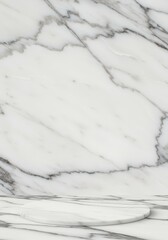 Obraz premium White Carrara marble with delicate grey veining patterns that naturally frame the center. Polished surface reflects soft lighting. A clean area in the middle awaits product placement