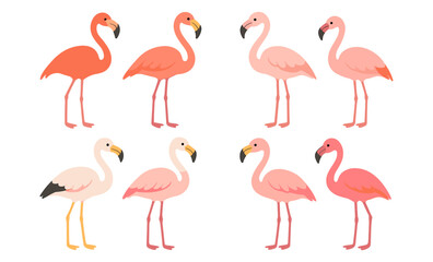 Obraz premium Colorful flamingos set in modern cartoon style for creative design