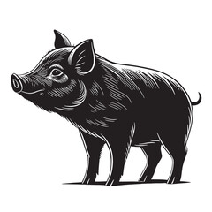 black miniature pig  Silhouette Vector, High Quality Illustration on White Background