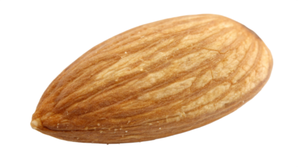 Closeup of a single almond nut, isolated on transparent background, showcasing its natural texture and healthy properties
