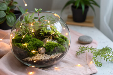 Miniature Moss Terrarium with Soft Fairy Lights over Pastel Background