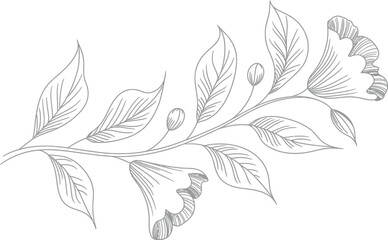 Elegant Floral Branch with Leaves, Buds, and Blossoms in Delicate Outline Style