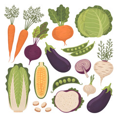Fresh vegetables assortment including carrots beetroot cabbage eggplant and more nutrition