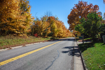 Serene Autumn Roadway Surrounded by Brilliantly Colored Foliage in Daylight