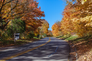 Serene Autumn Roadway Surrounded by Brilliantly Colored Foliage in Daylight#2