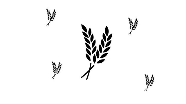 Zoom in and out animation the wheat symbol. Large black symbol in the center and four small symbols around. Seamless looped 4k animation on white background