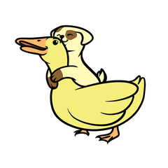 Cute Dog Duck