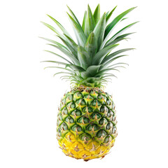 Fototapeta premium and keyword list for the image.. Pineapple Standing Tropical Fruit Still-Life Against Plain Backdrop.