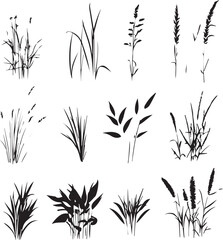Various Tall Grass and Weed Silhouettes