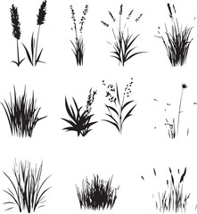 Collection of Wild Grass Plant Silhouettes