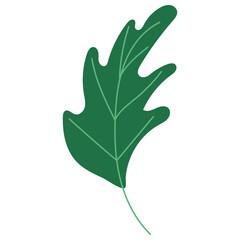 Fototapeta premium Cute Leaf Sticker