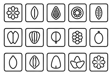Collection of stylized seed and fruit icons in black outline botanical