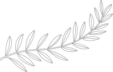 Olive Branch Illustration, Gray Outline Drawing, Plant with Leaves on Transparent