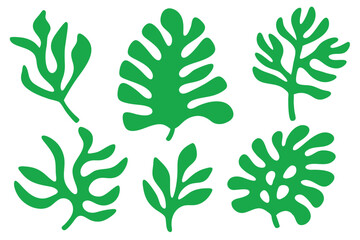 Six tropical green leaves are scattered randomly across a white background with a uniform color