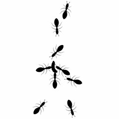 Vector illustration of a group of worker ants walking together carrying caterpillars as food on a white background. The concept of cooperation and hard work.
