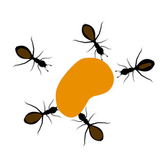 Vector illustration of a group of ants eating spilled food on a white background.