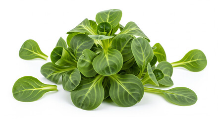 Fototapeta premium Fresh Lamb's Lettuce or Corn Salad Greens, Isolated transparent background