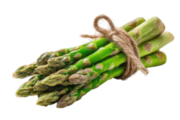 Close-up of a bunch of fresh asparagus tied with twine.  Bright green stalks with light-green tips.  Natural light.  Isolated on black