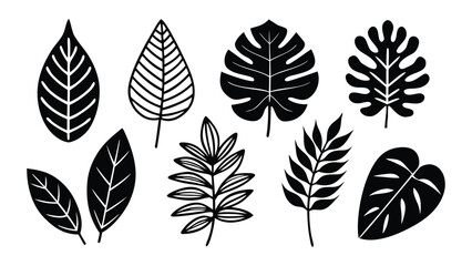 Fototapeta premium Art of assortment of eight stylized botanical leaves in black and white, isolated on a clean.