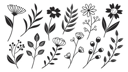 Black floral botanical elements white