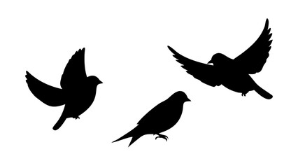 Black silhouette of a person in a wheelchair disability