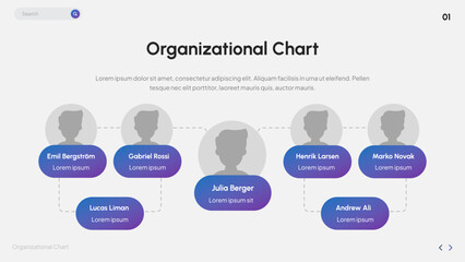 Organizational Chart Infographic