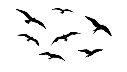 Flock of Flying Birds Silhouette wings