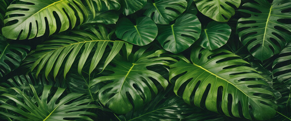 Fototapeta premium Dense Jungle Foliage Texture Background