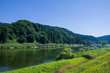 緑深まる初夏の最上峡